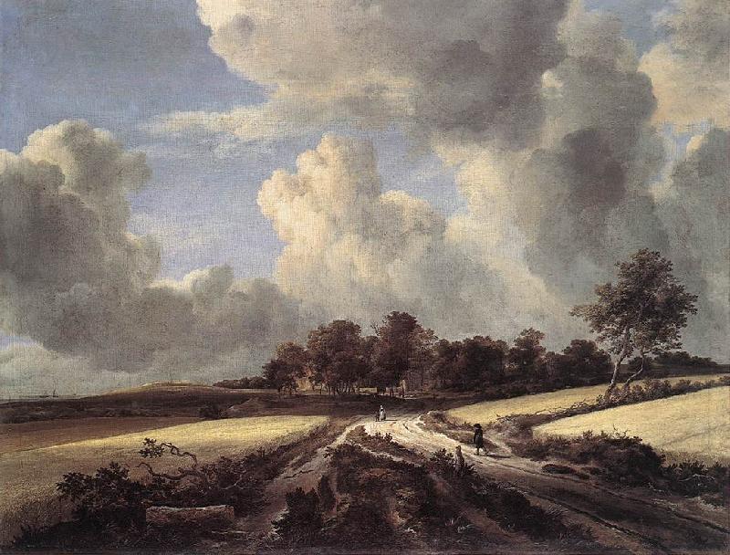 RUISDAEL, Jacob Isaackszon van Wheat Fields dh